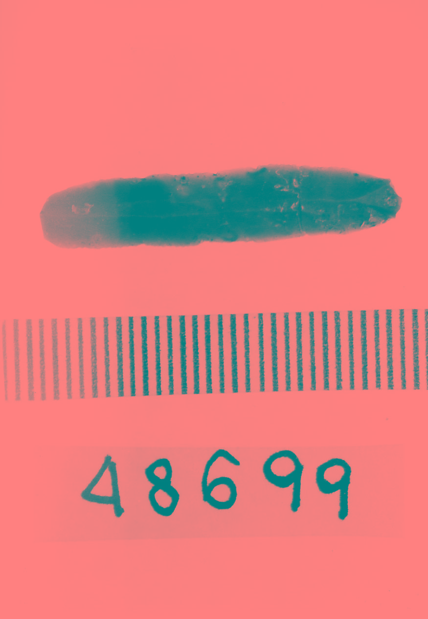 lamella non ritoccata (Subneolitico)