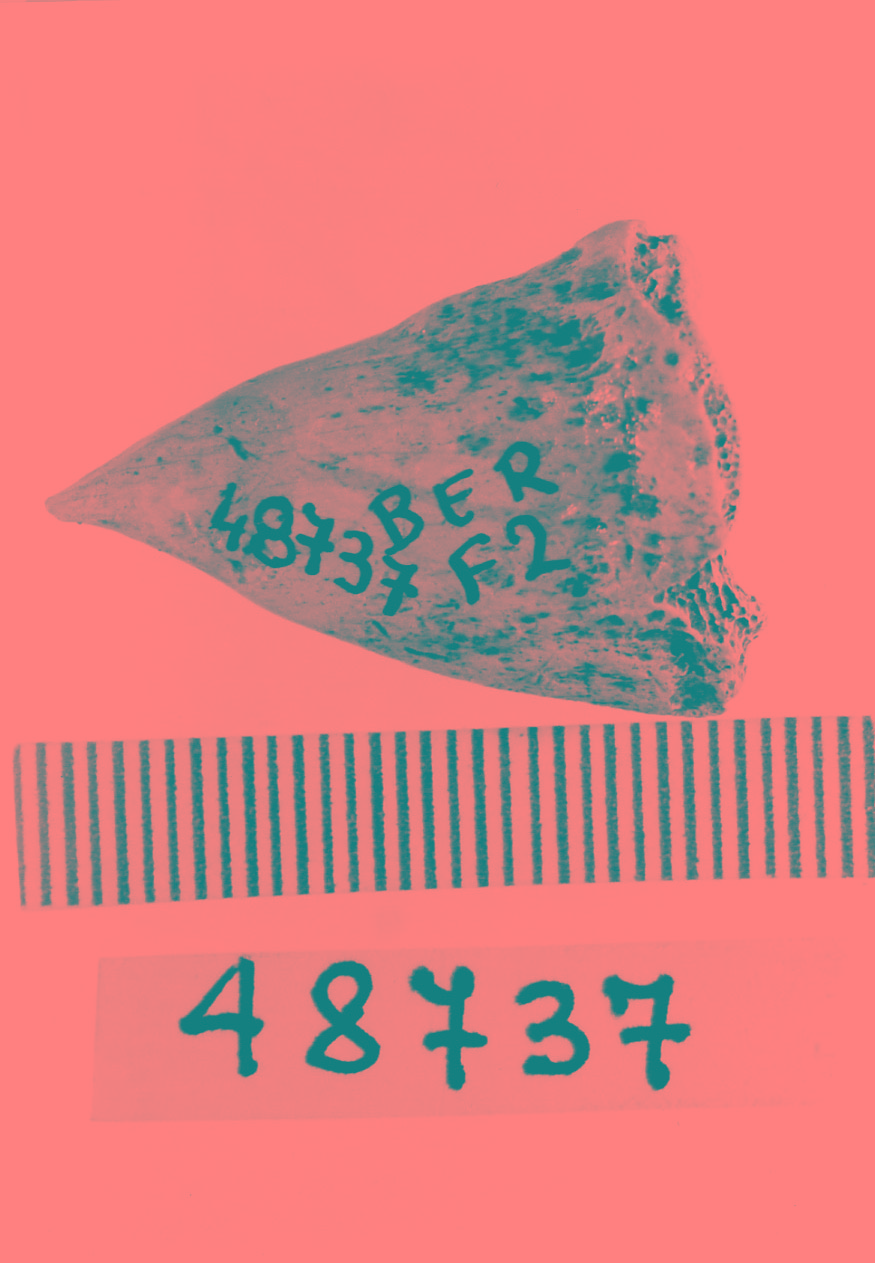 punteruolo (Subneolitico)