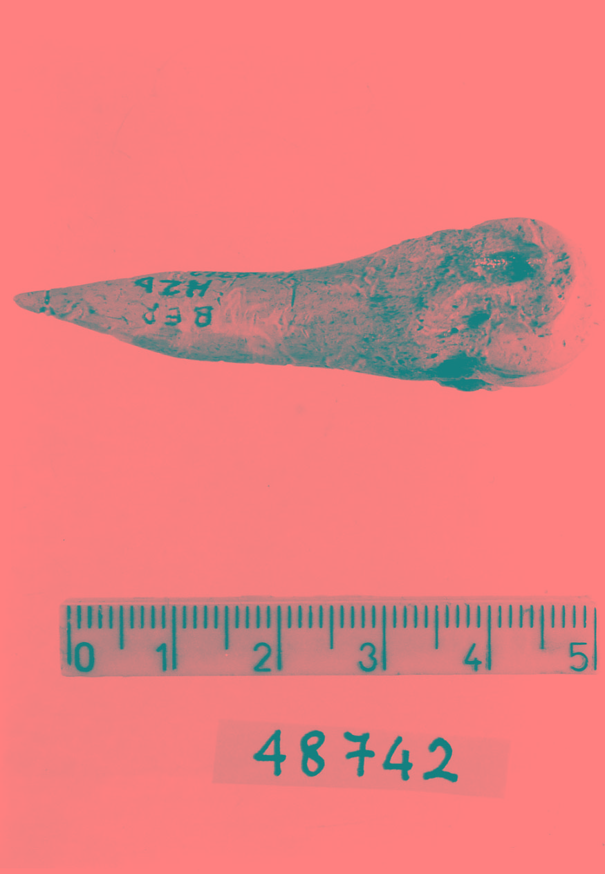 punteruolo (Subneolitico)