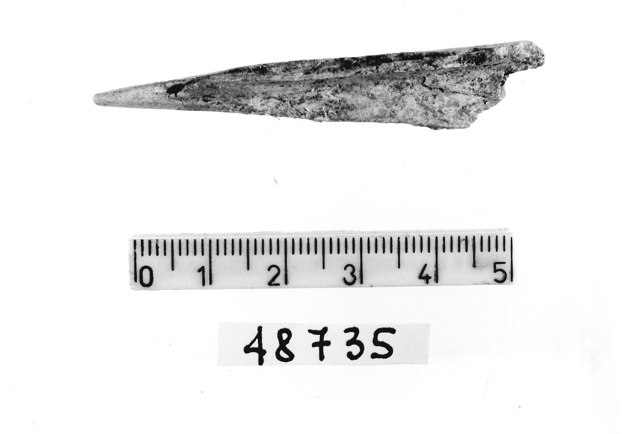 punteruolo/ frammento (Subneolitico)