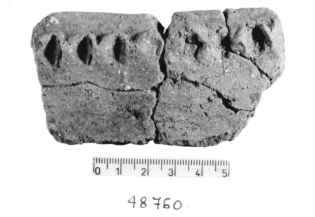 olla/ frammento (Subneolitico)