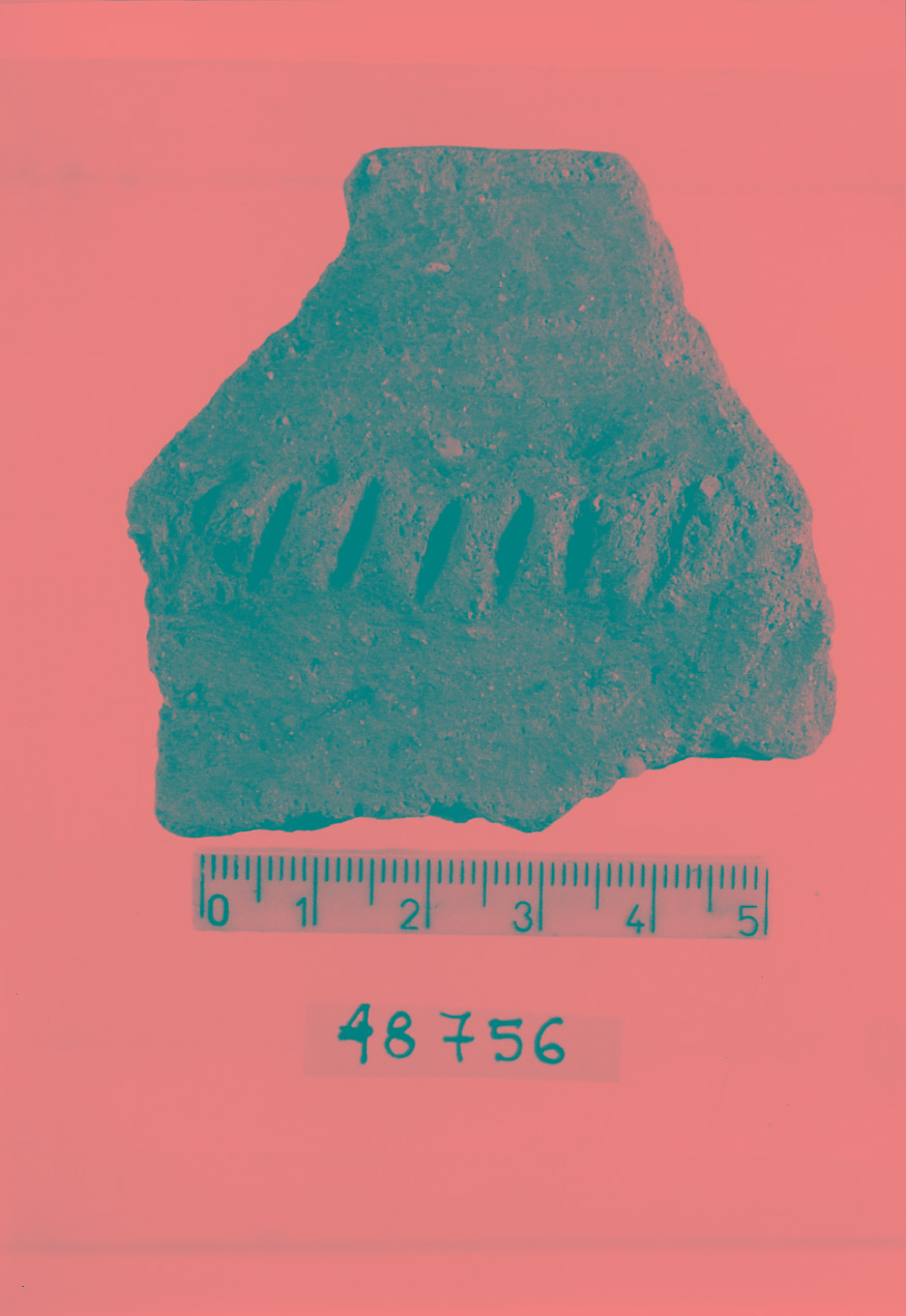 olla/ frammento (Subneolitico)