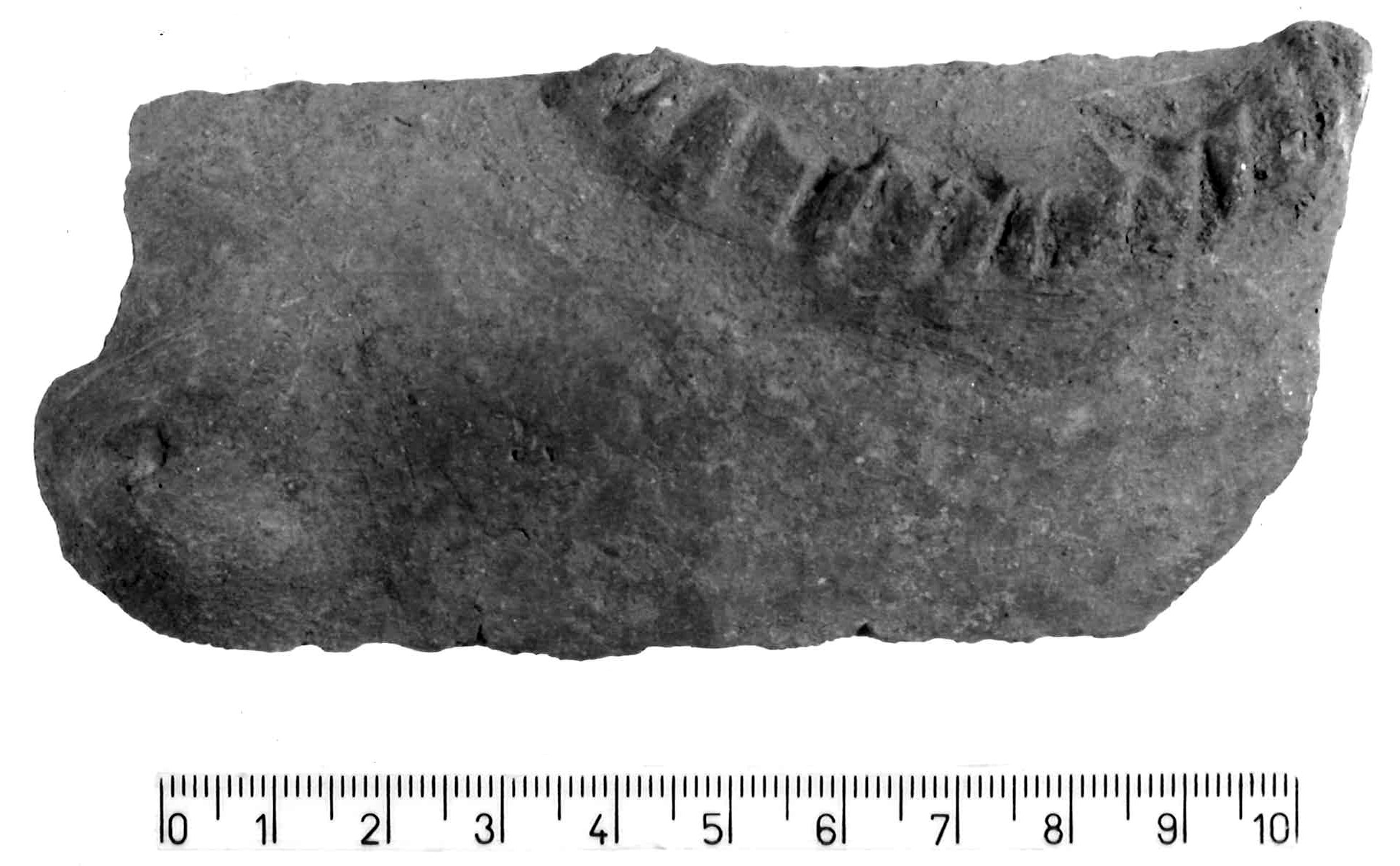parete/ frammento (Subneolitico)