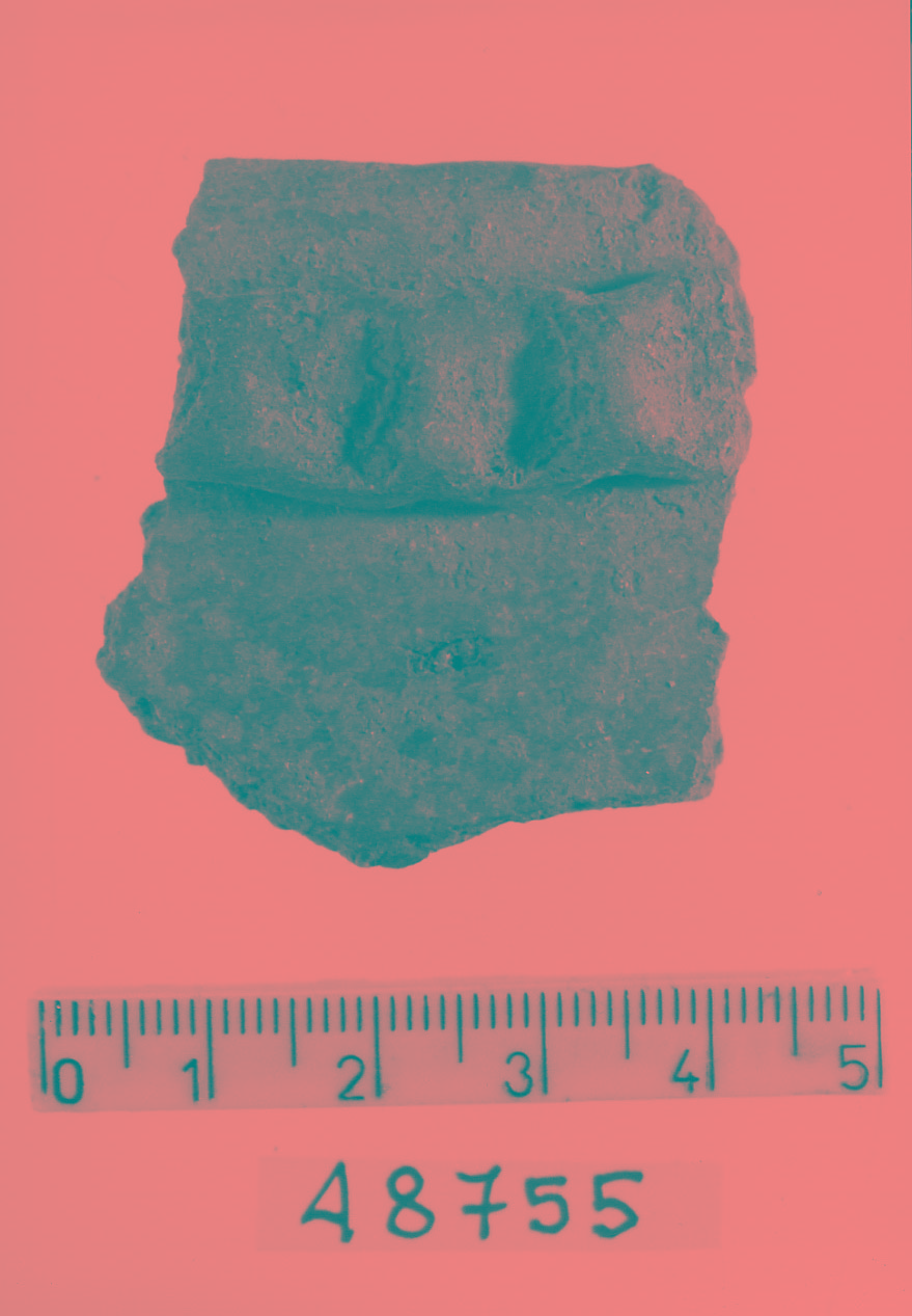 olla/ frammento (Subneolitico)