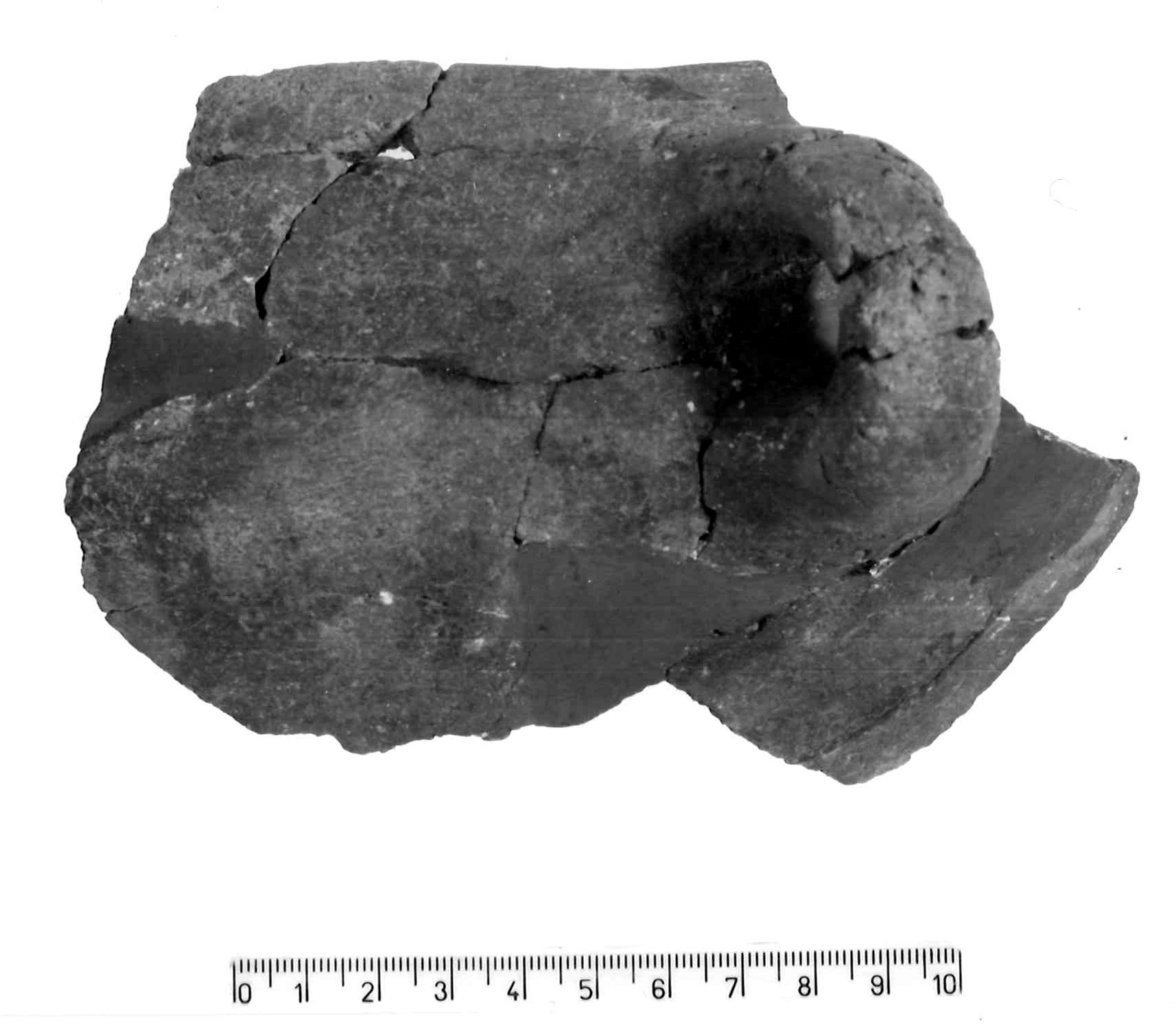 tazza carenata/ frammento (Subneolitico)