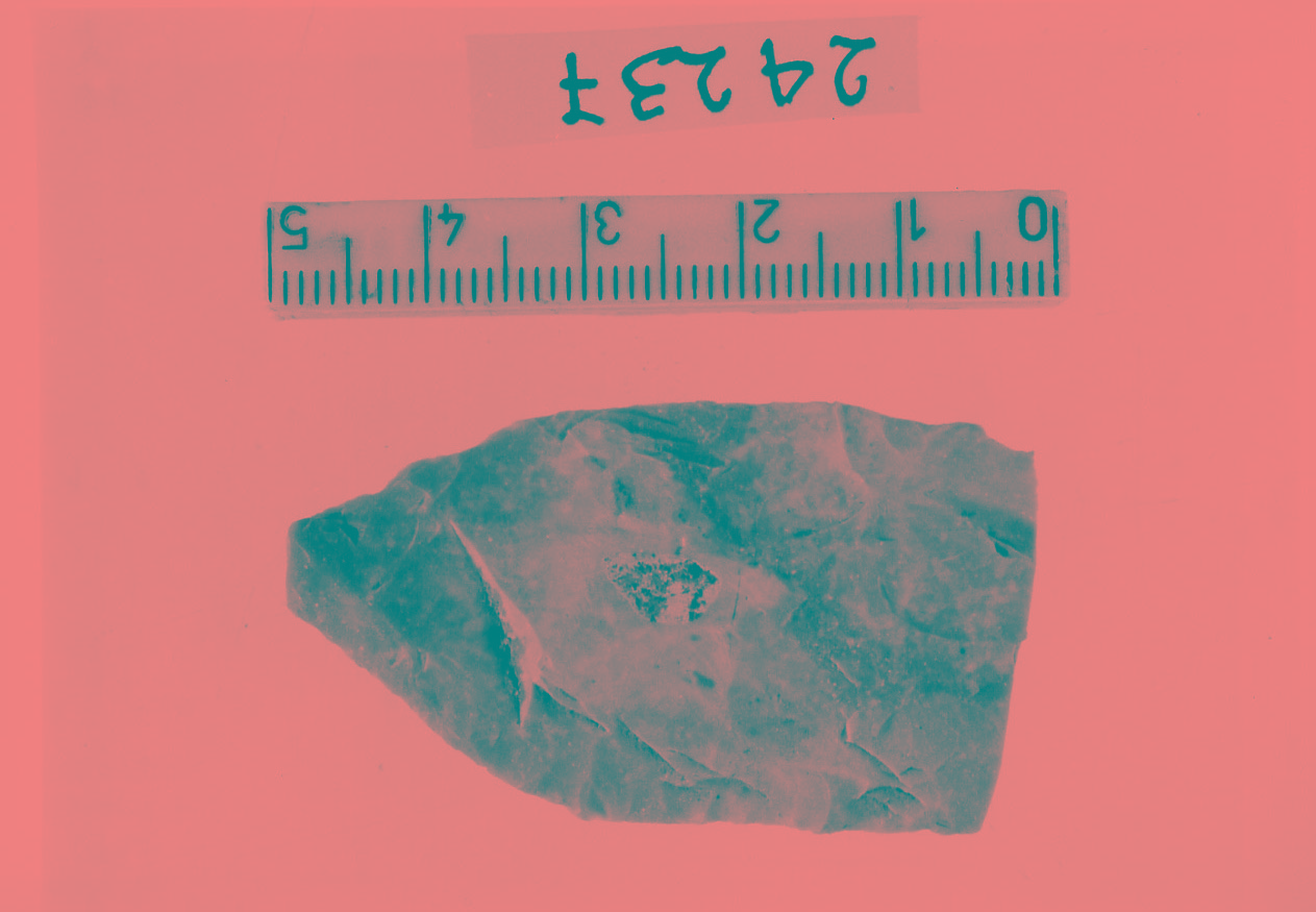 punta a ritocco piatto bifacciale/ frammento (Subneolitico)