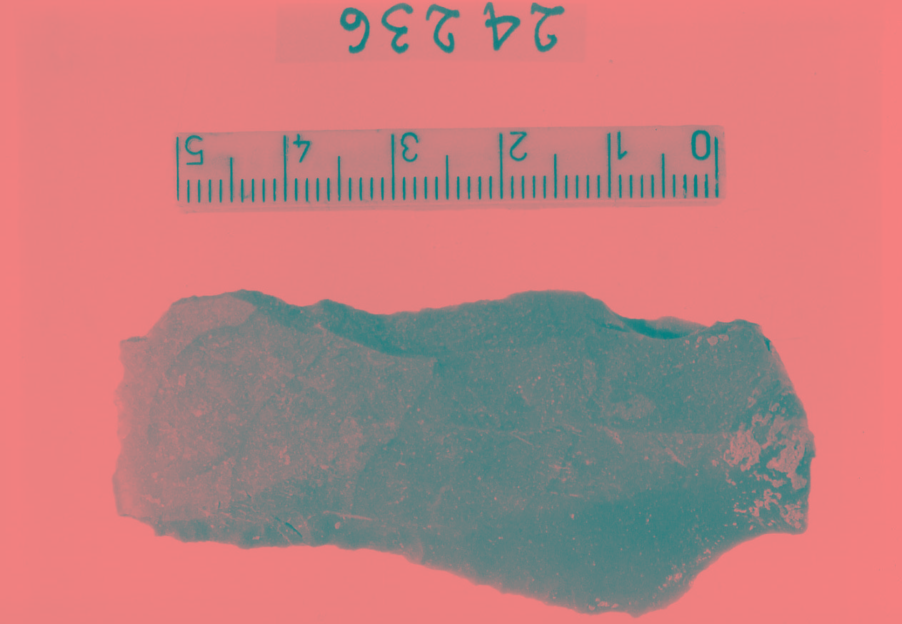 lama-raschiatoio denticolato (Subneolitico)