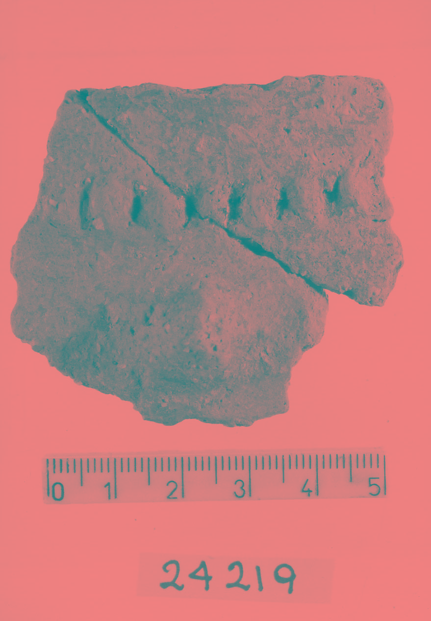 olla/ frammento (Subneolitico)