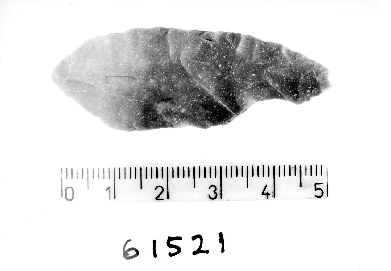 punta sessile (Subneolitico)