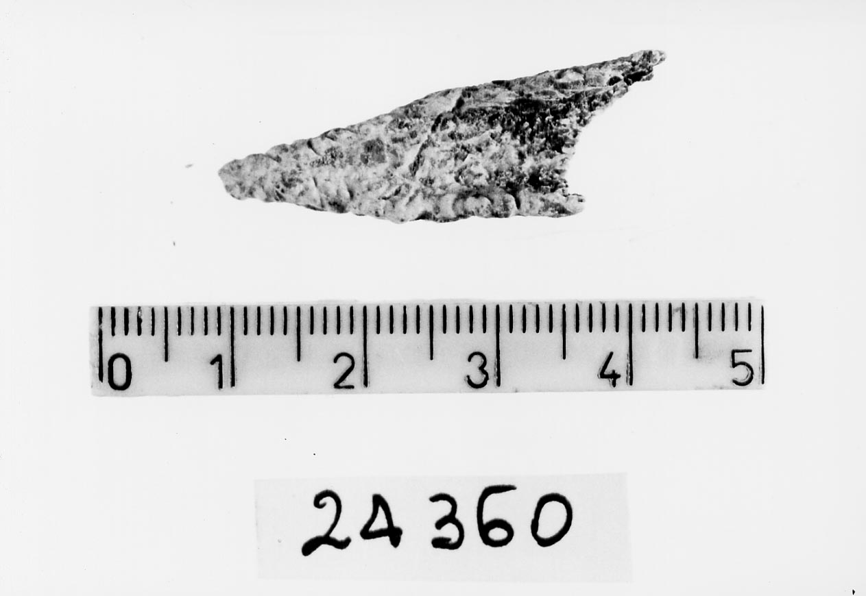 punteruolo/ frammento (Subneolitico)