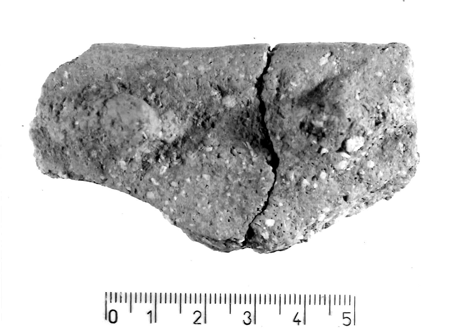 orlo/ frammento (Subneolitico)