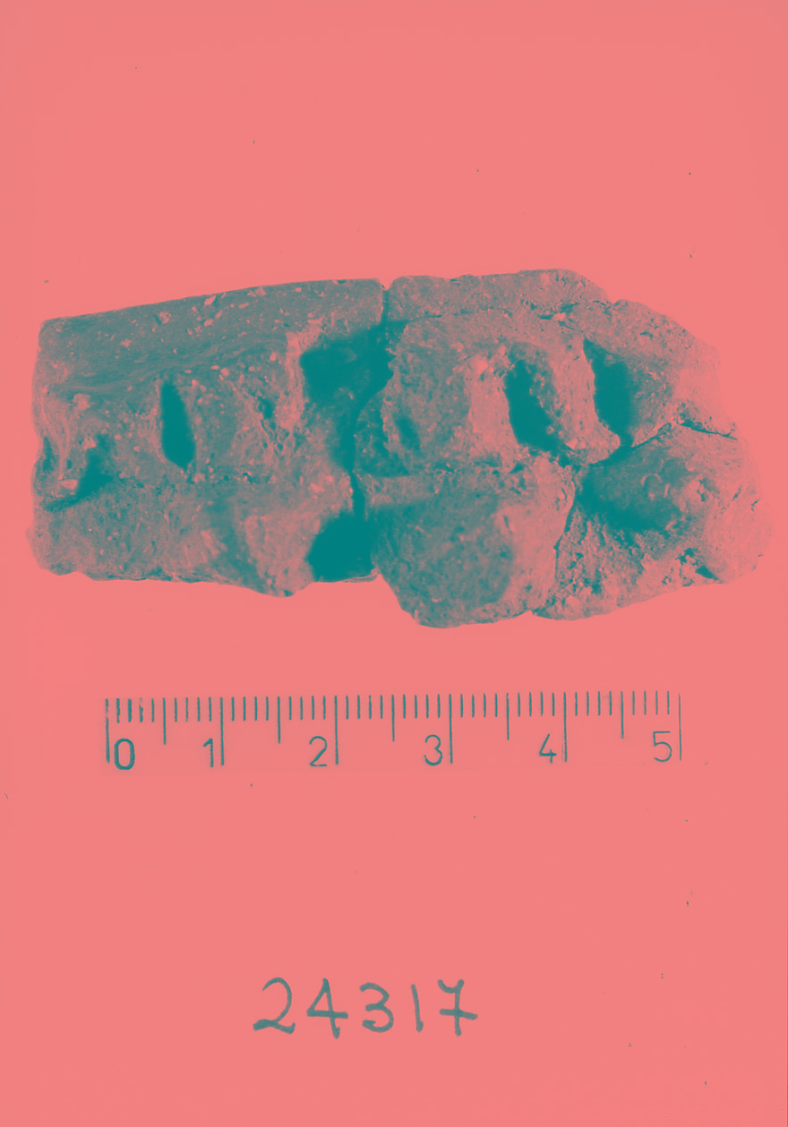 orlo/ frammento (Subneolitico)