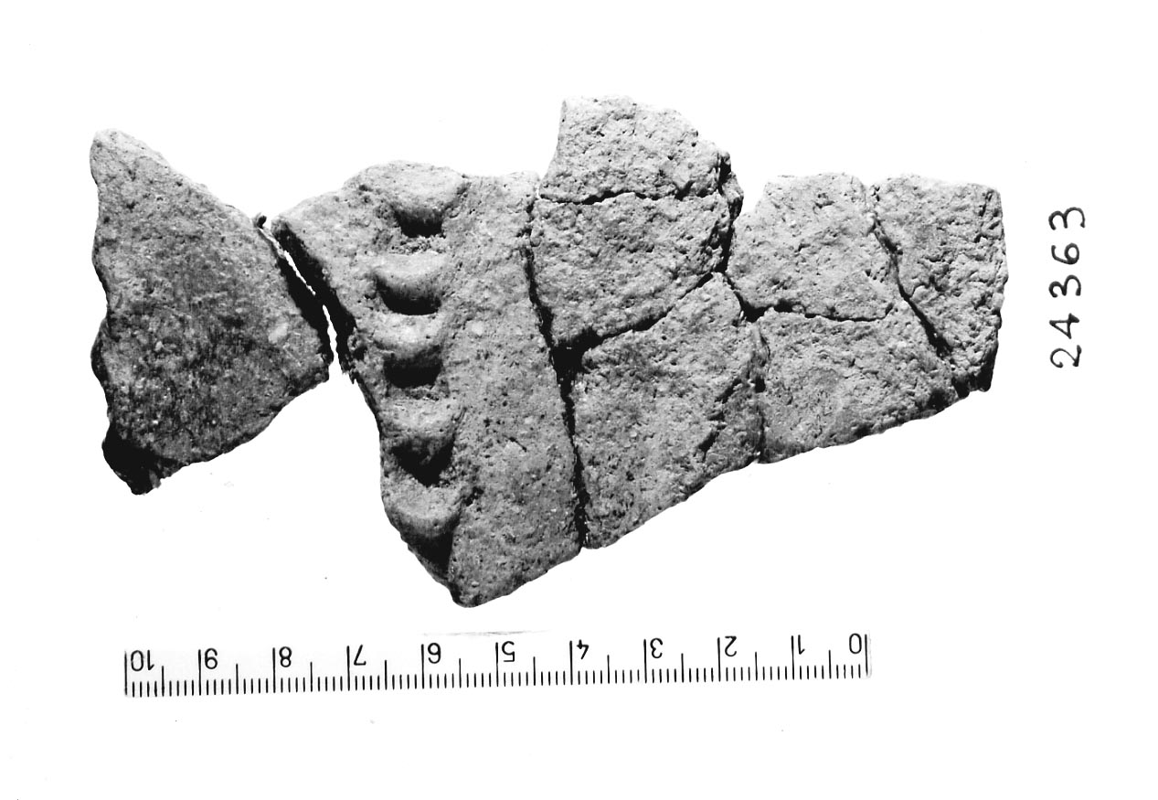 orlo/ frammento (Subneolitico)