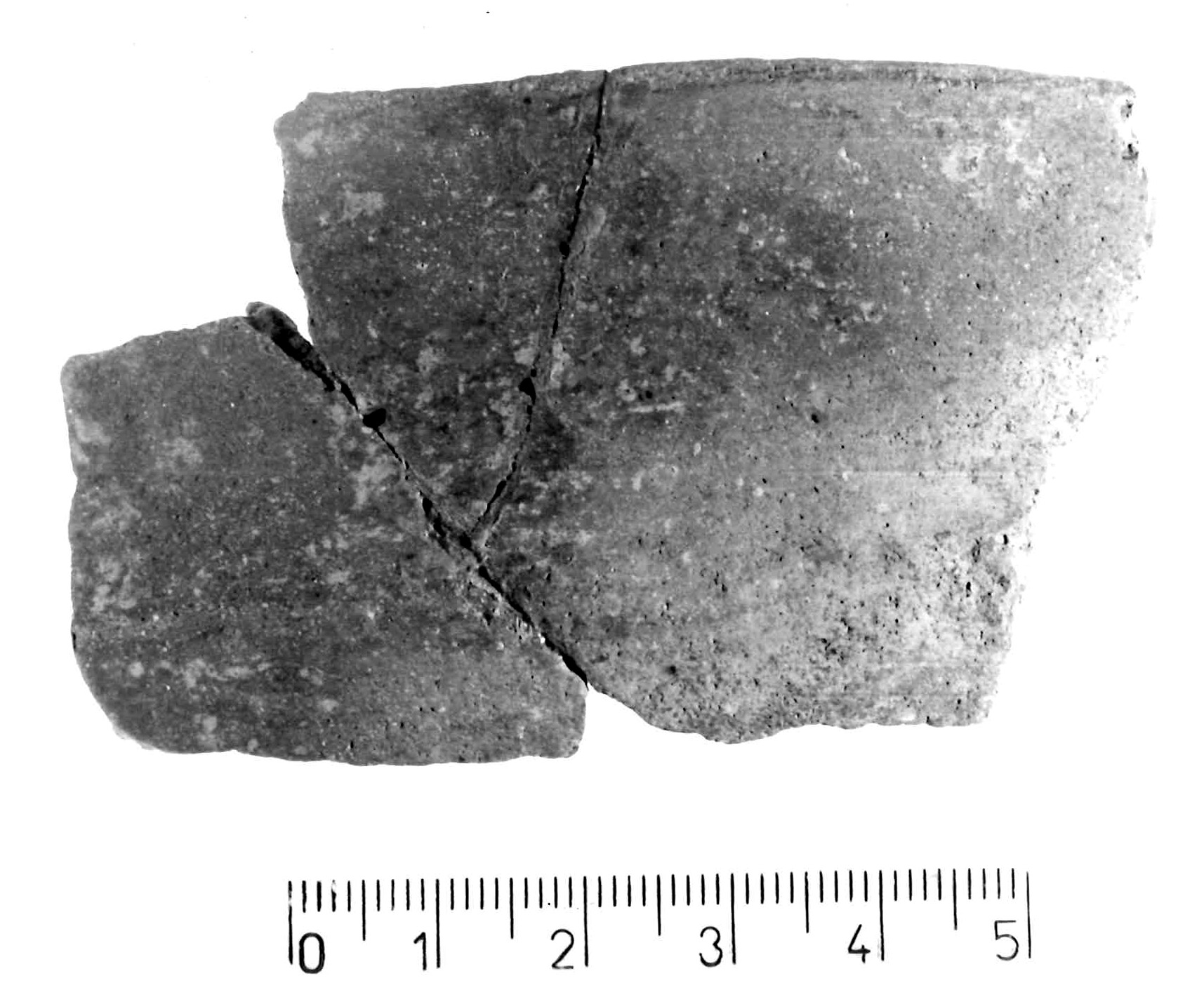 ciotola carenata/ frammento (Subneolitico)