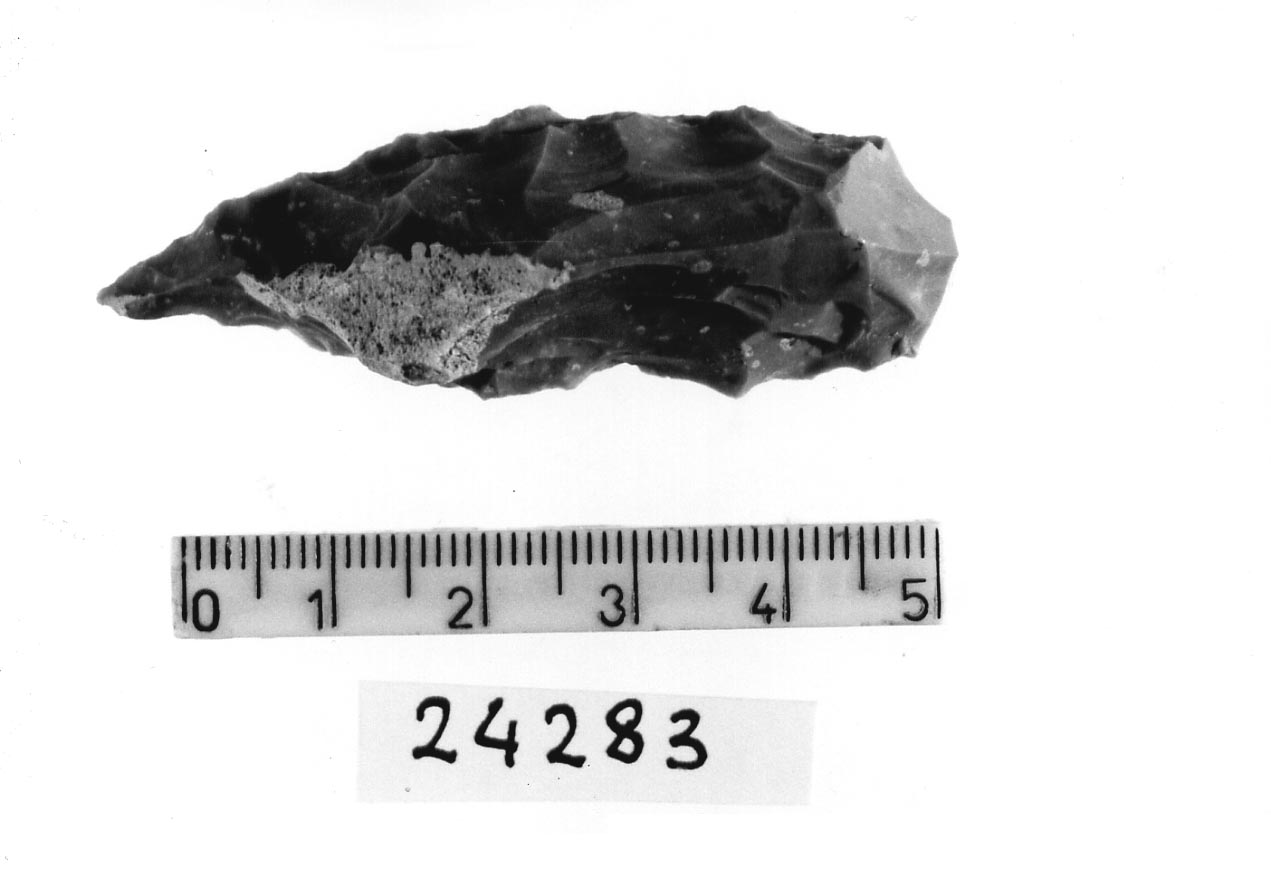 punta a spalla carenata - tecnica campignana (Subneolitico)