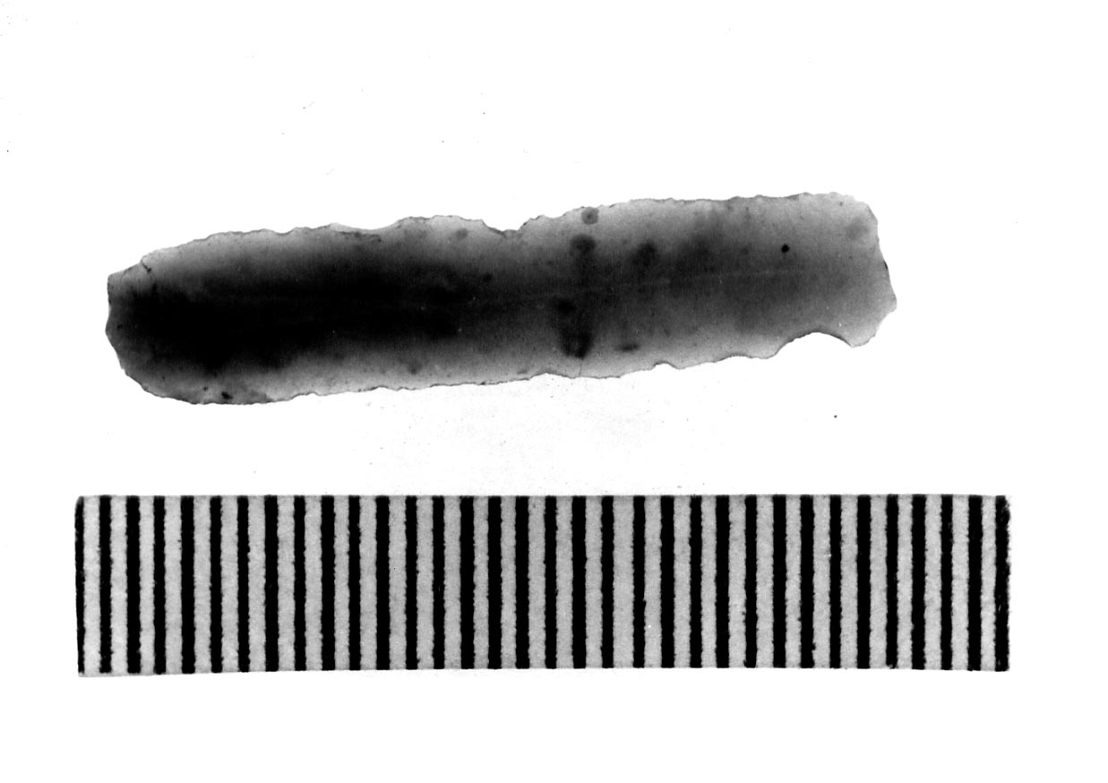 lamella non ritoccata (Subneolitico)