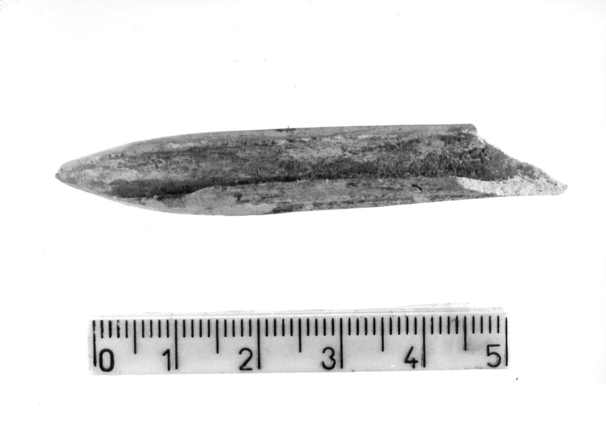 punteruolo/ frammento (Subneolitico)