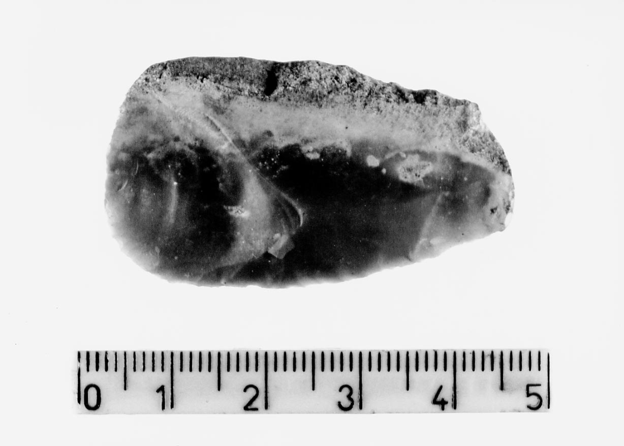 raschiatoio marginale (Eneolitico)