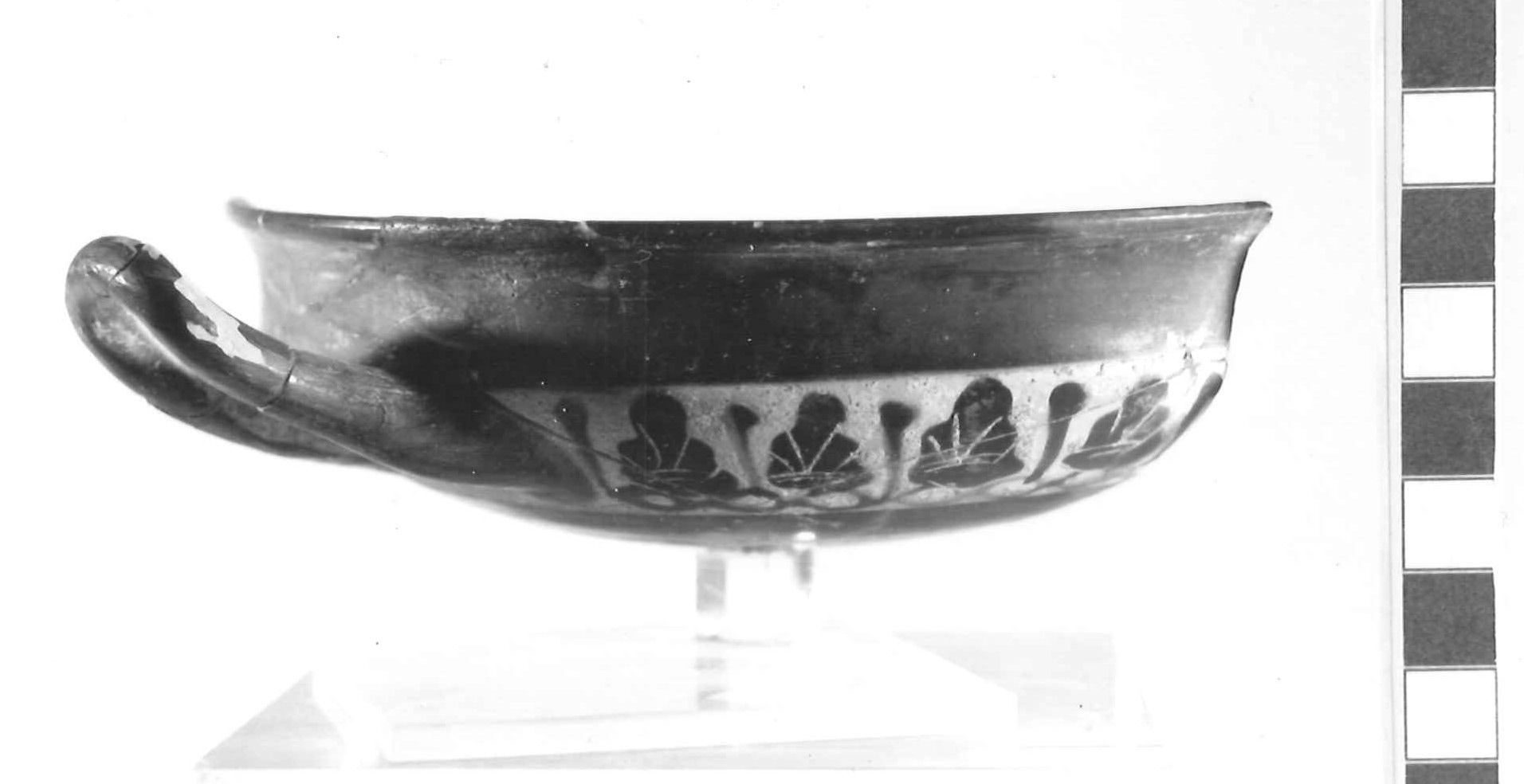 kylix - produzione attica (secondo quarto sec. V a.C)