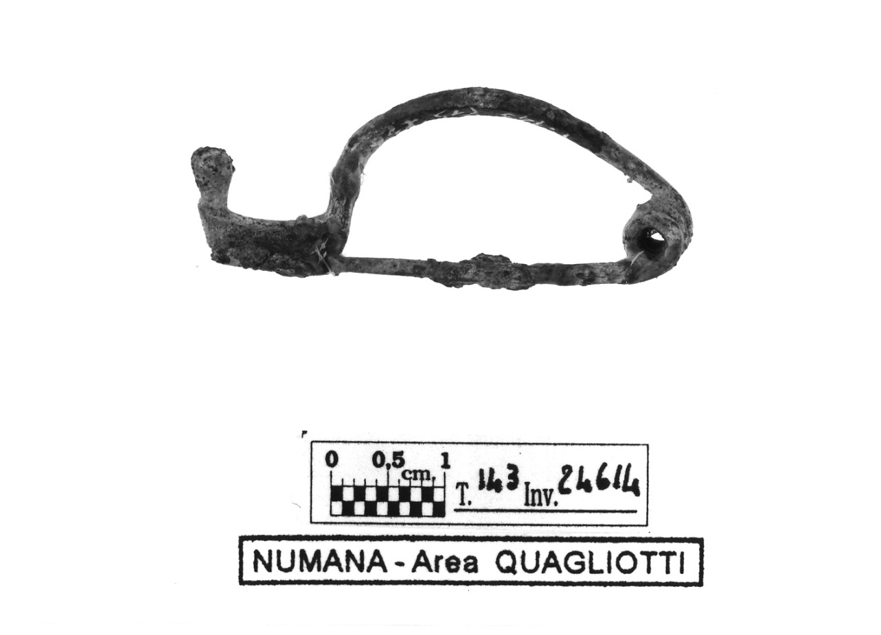 fibula tipo Certosa - fase Piceno IV B (secondo quarto sec. V a.C)