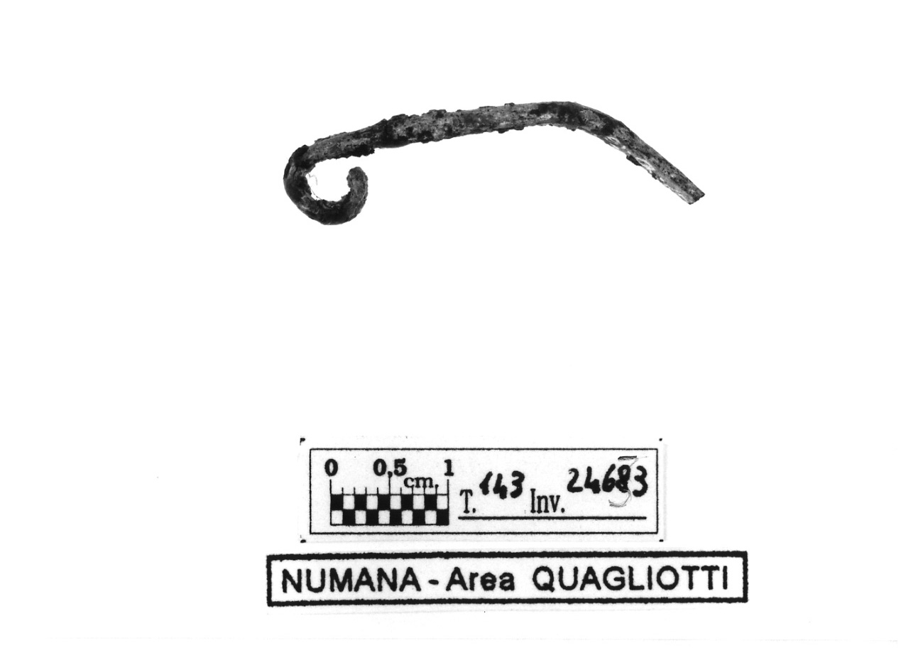 fibula tipo Certosa - fase Piceno IV B (secondo quarto sec. V a.C)