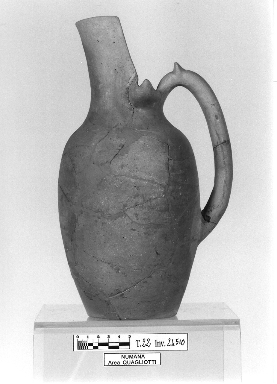 oinochoe con becco a cartoccio - fase Piceno IV B (secc. VI-V a.C)