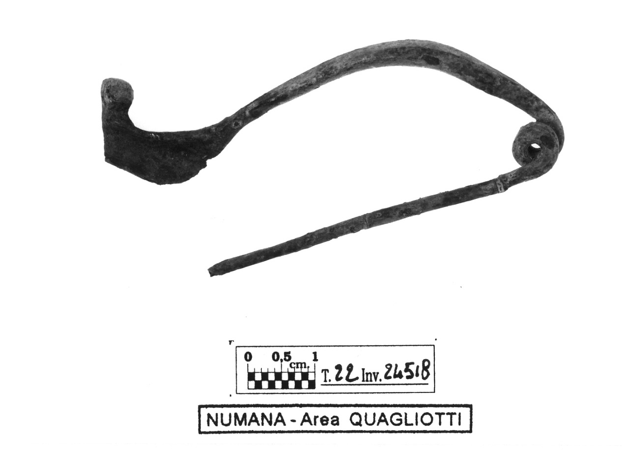 fibula tipo Certosa - fase Piceno IV B (secc. VI-V a.C)