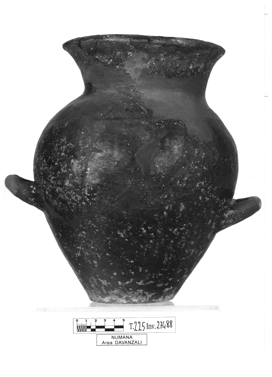 olla biansata a collo distinto - fase Piceno IV B (primo quarto sec. V a.C)