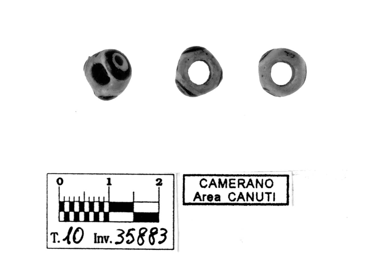 vago - fase Piceno V (prima metà sec. V a.C)