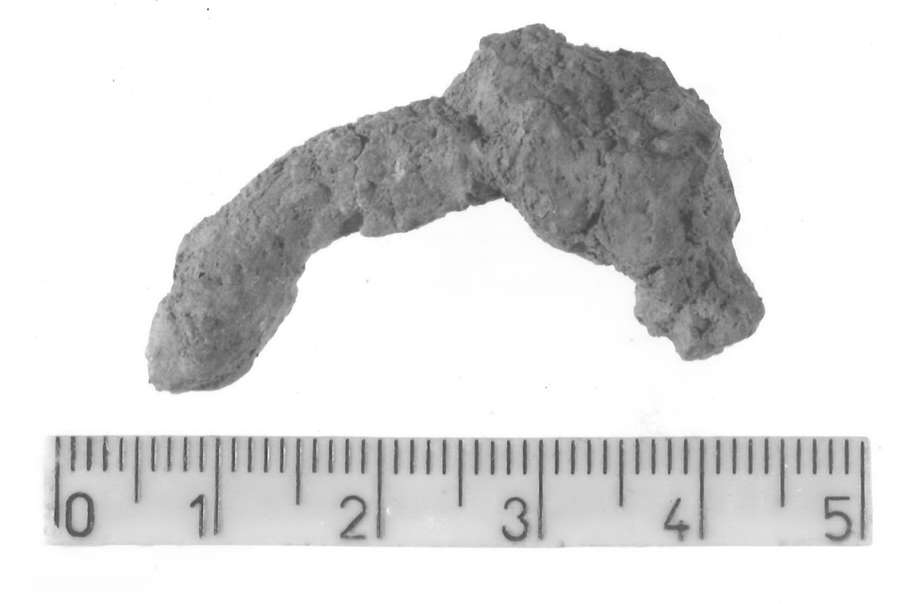 fibula/ frammento - Piceno V (fine sec. V a.C)