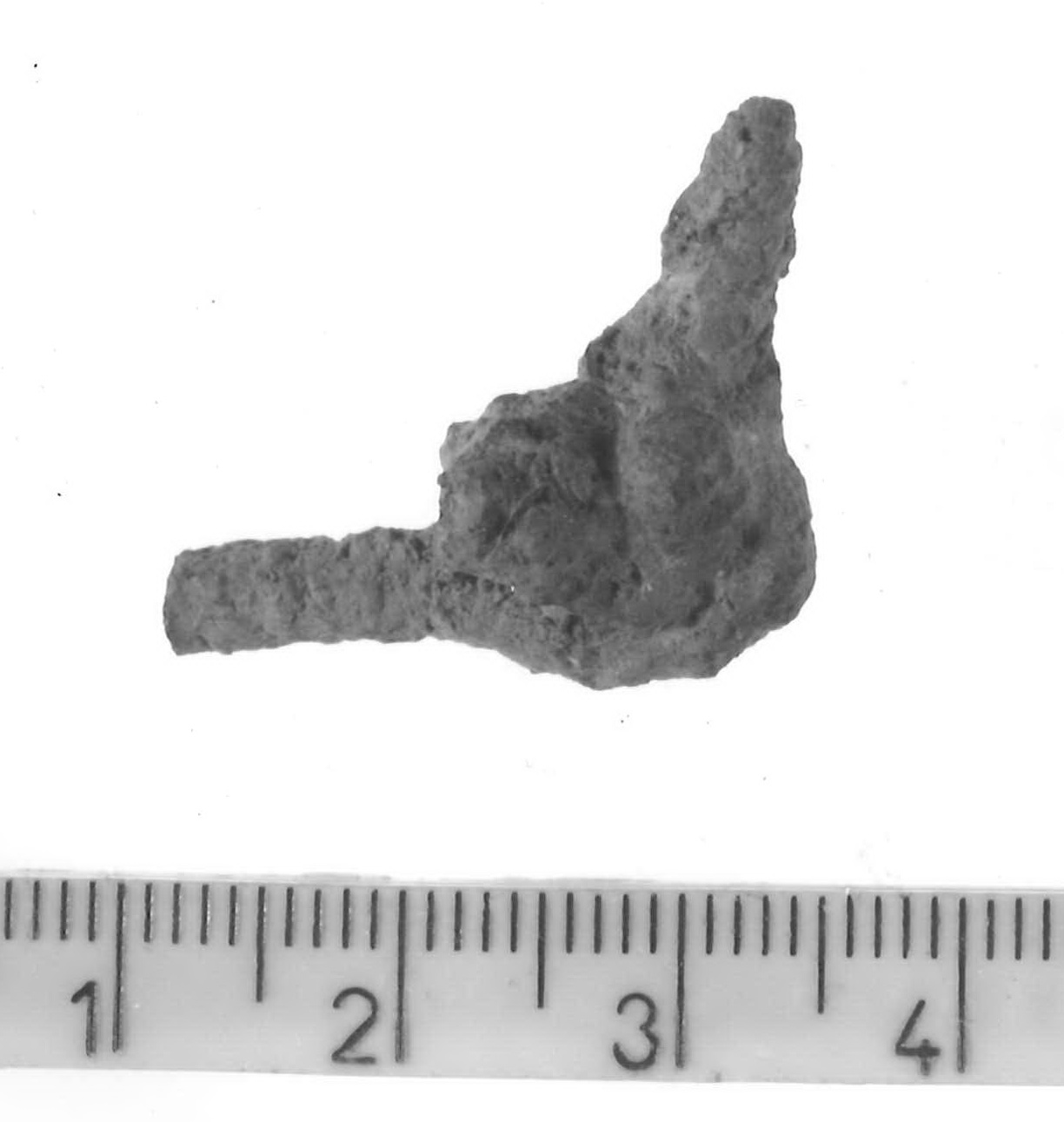 fibula/ frammento - Piceno V (fine sec. V a.C)