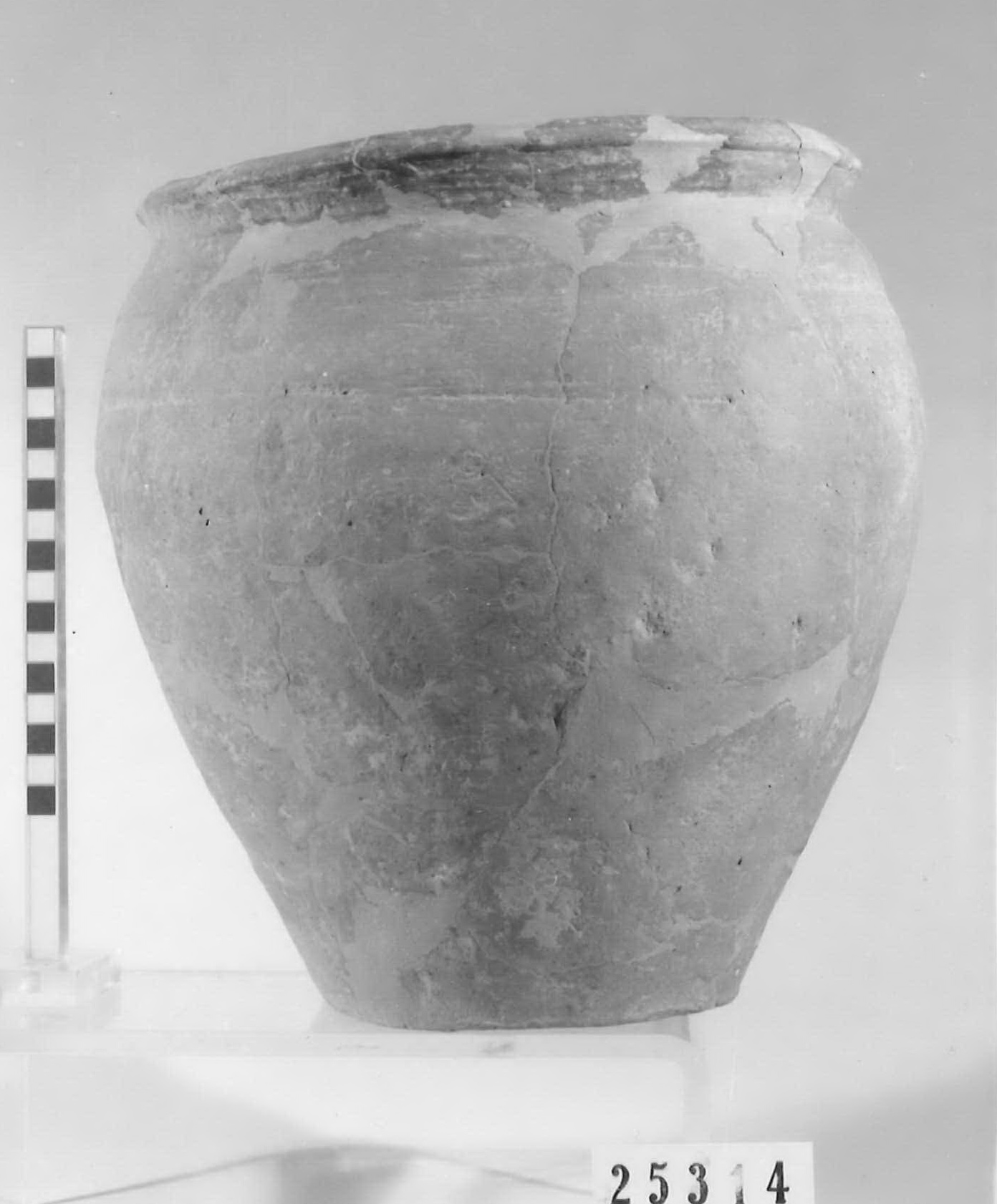 olla ovoide - Piceno V (fine sec. V a.C)