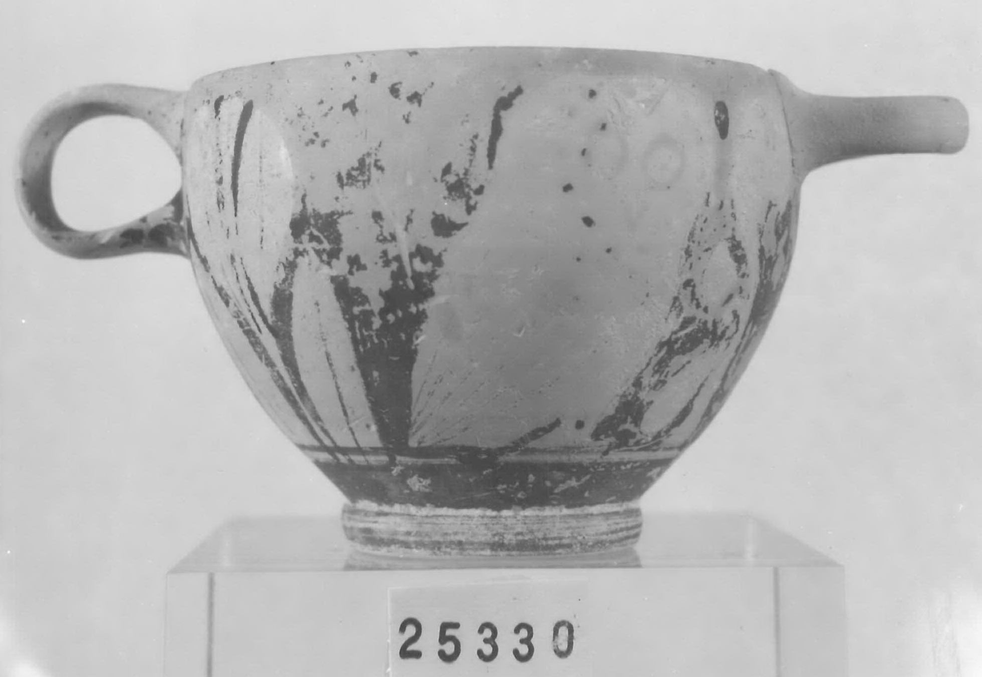 glaux - Piceno V (fine sec. V a.C)