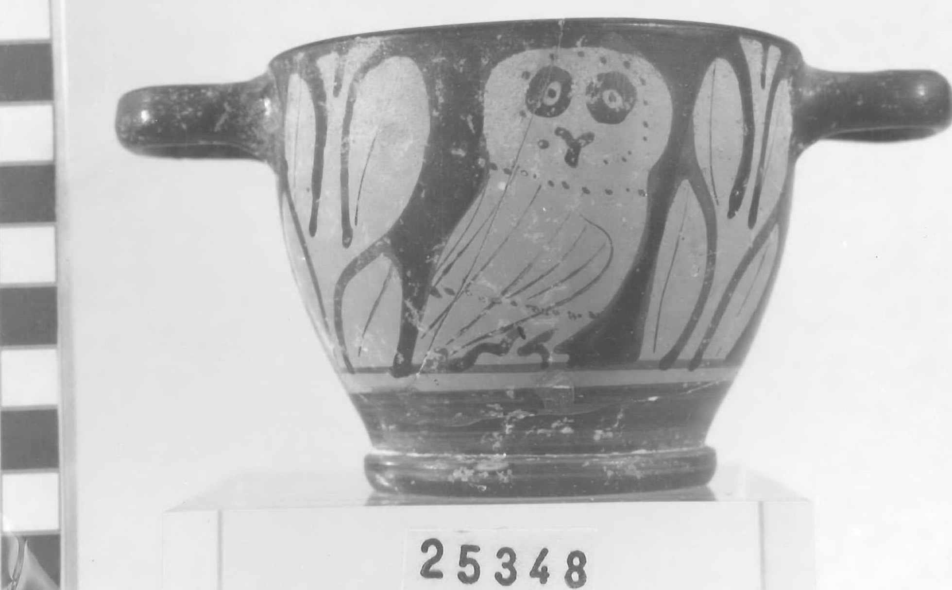 skyphos - Piceno V (fine sec. V a.C)