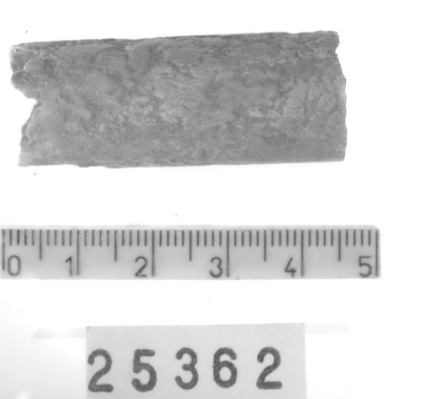 cilindro (?) - Piceno V (fine sec. V a.C)