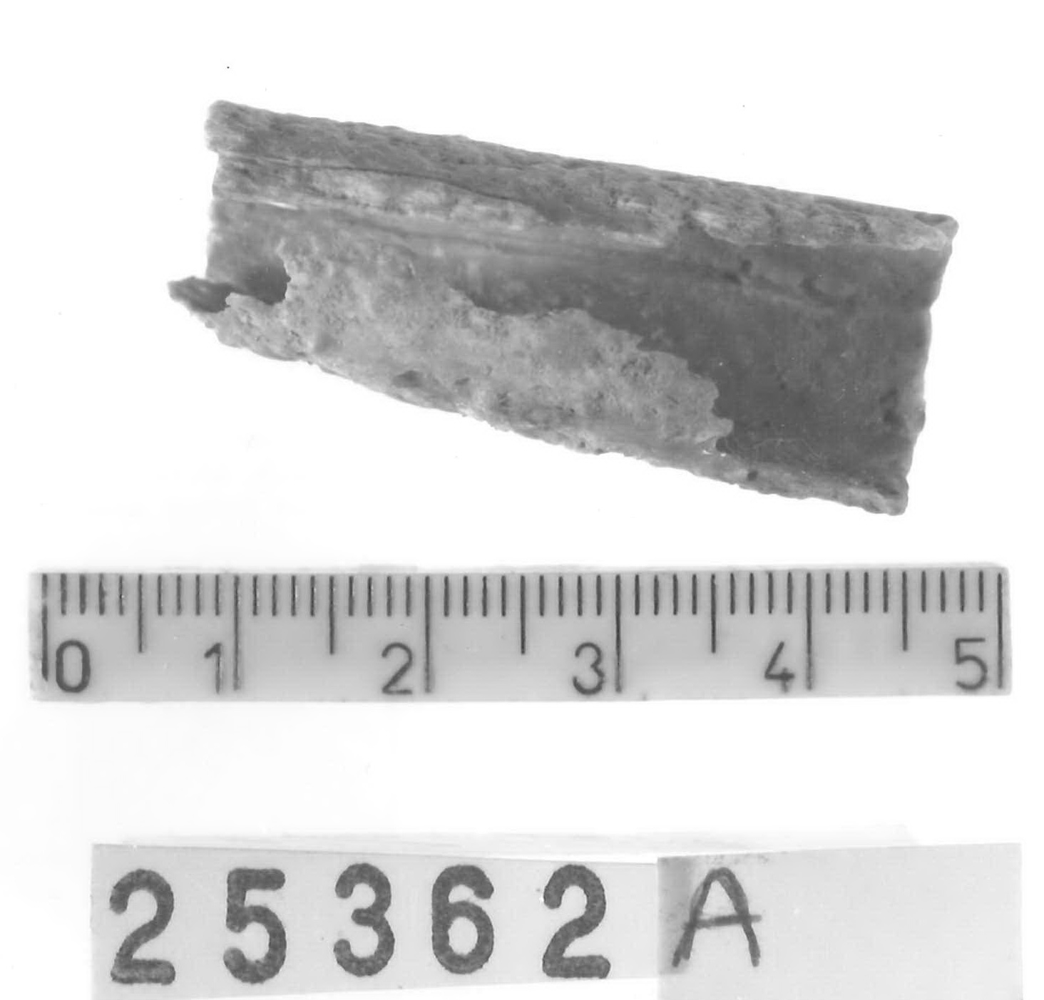 cilindro (?) - Piceno V (fine sec. V a.C)