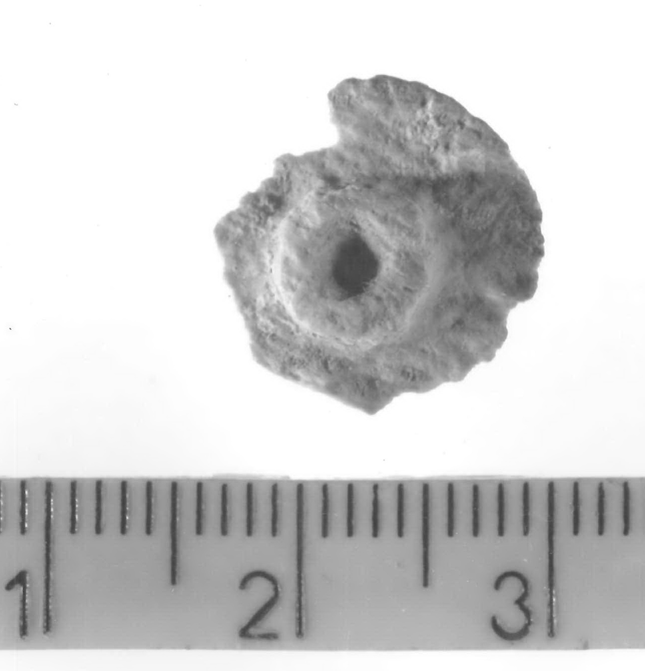 tappo (?) - Piceno V (fine sec. V a.C)