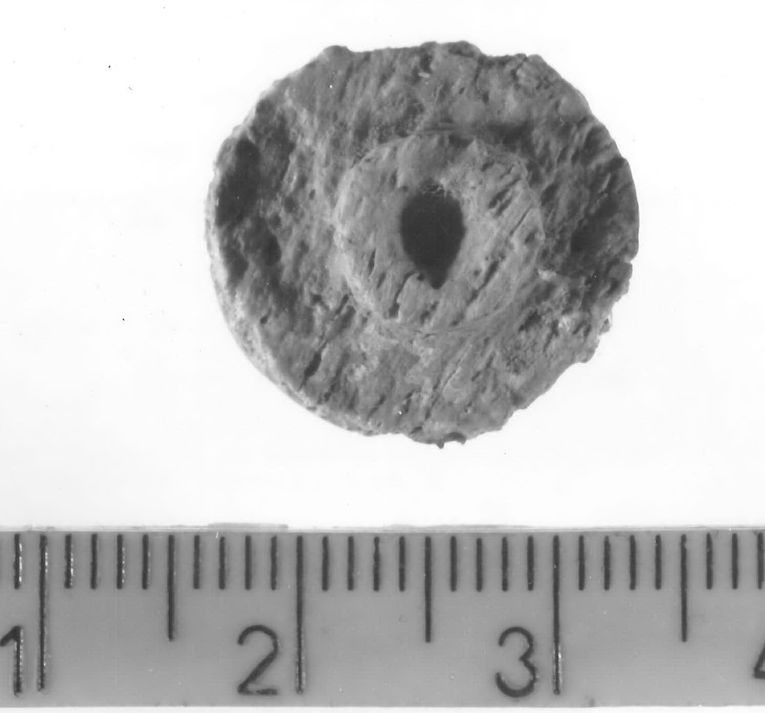 tappo (?) - Piceno V (fine sec. V a.C)