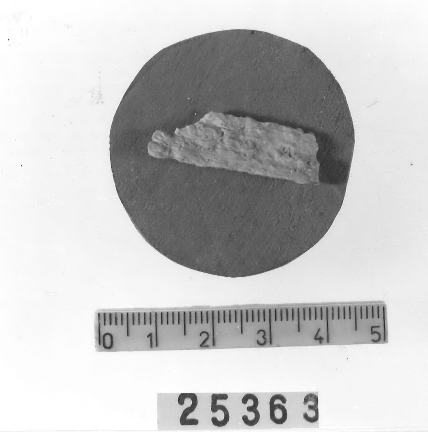 lastrina/ frammento - Piceno V (fine sec. V a.C)