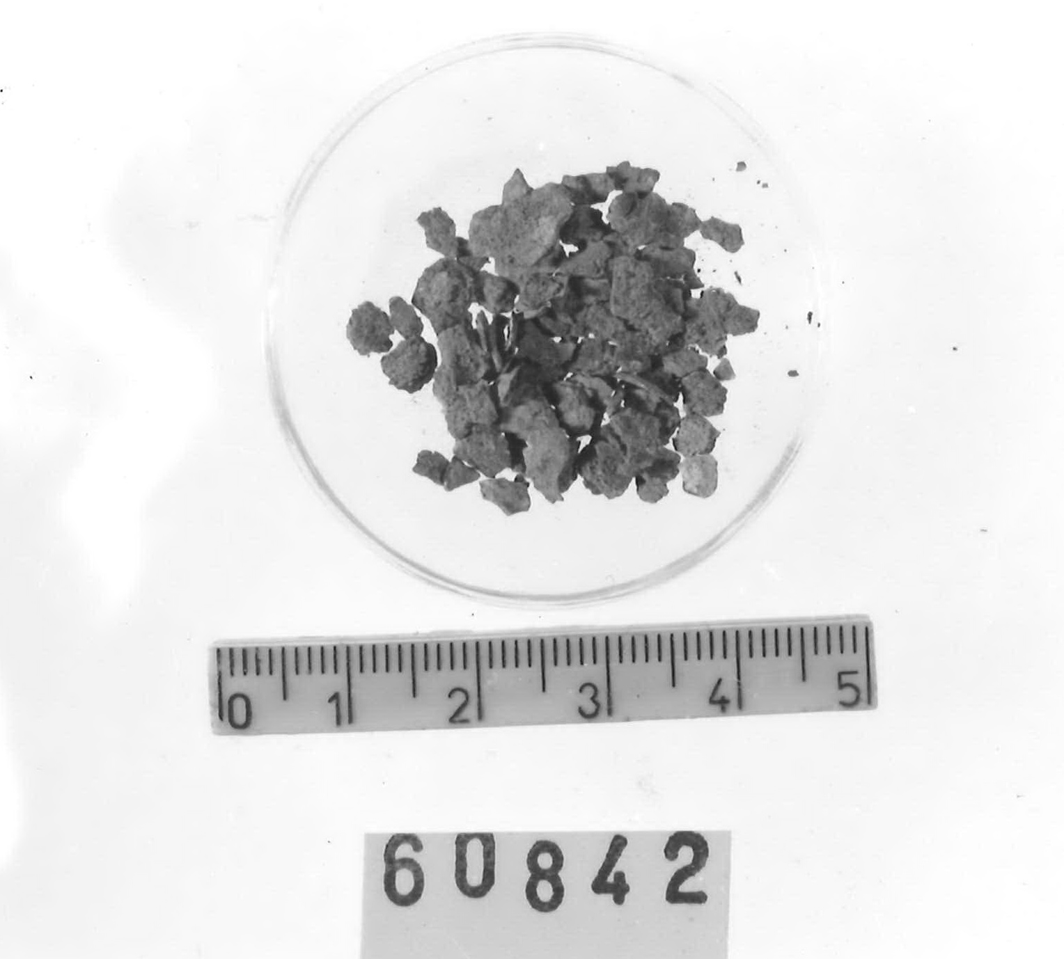 frammento non id./ serie - Piceno V (fine sec. V a.C)