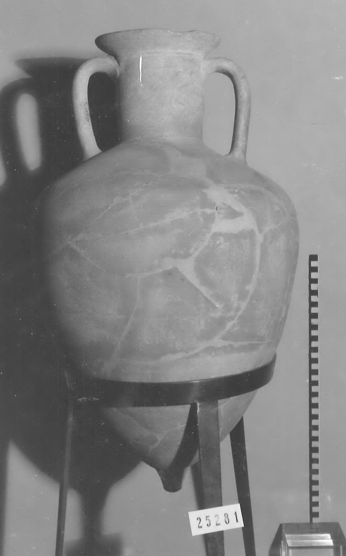 anfora - Piceno V (fine sec. V a.C)