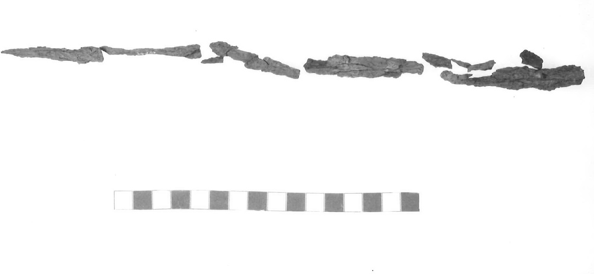 spiedo - Piceno V (fine sec. V a.C)