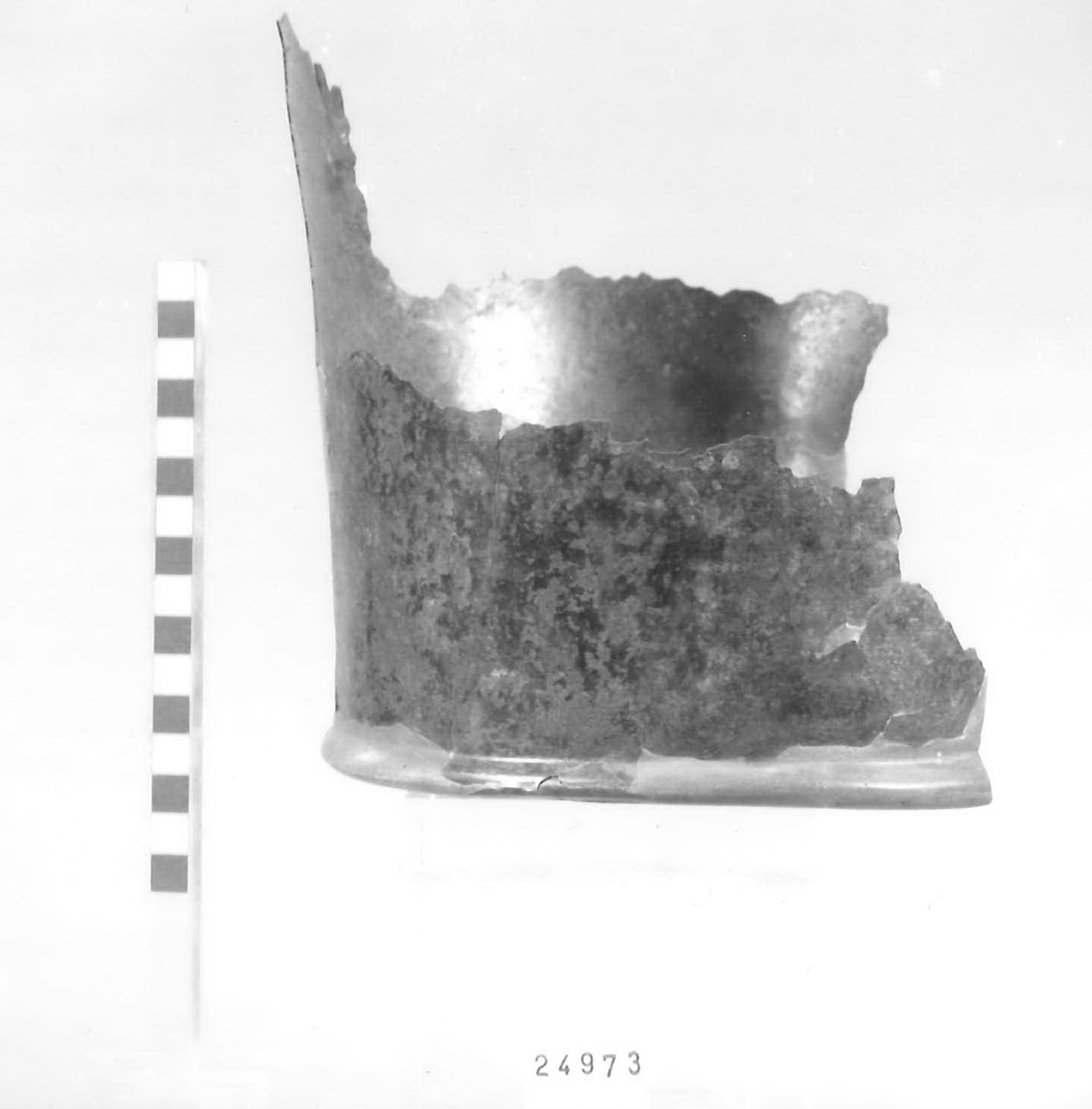 fondo - Piceno V (fine sec. V a.C)