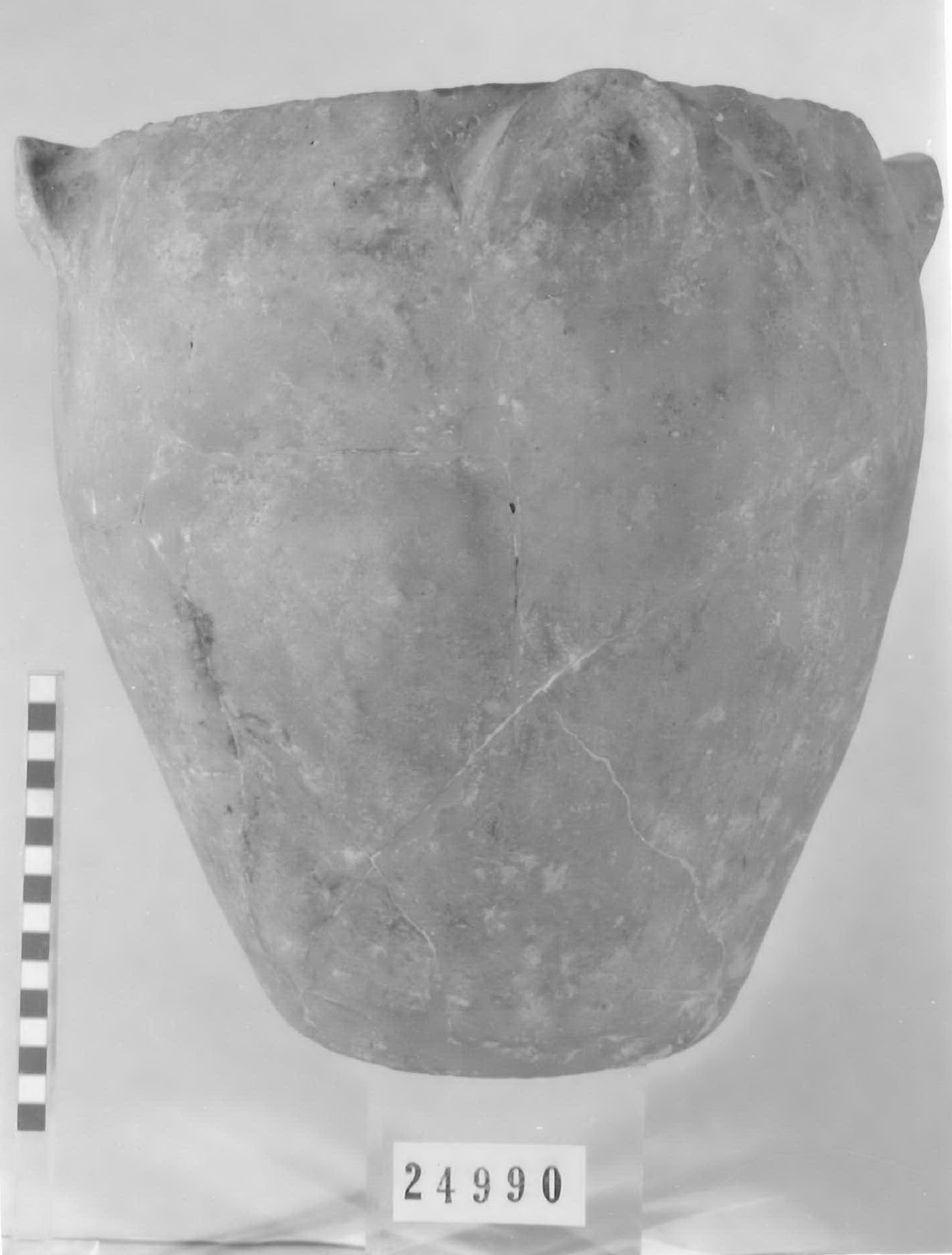 olla ovoide - Piceno V (fine sec. V a.C)