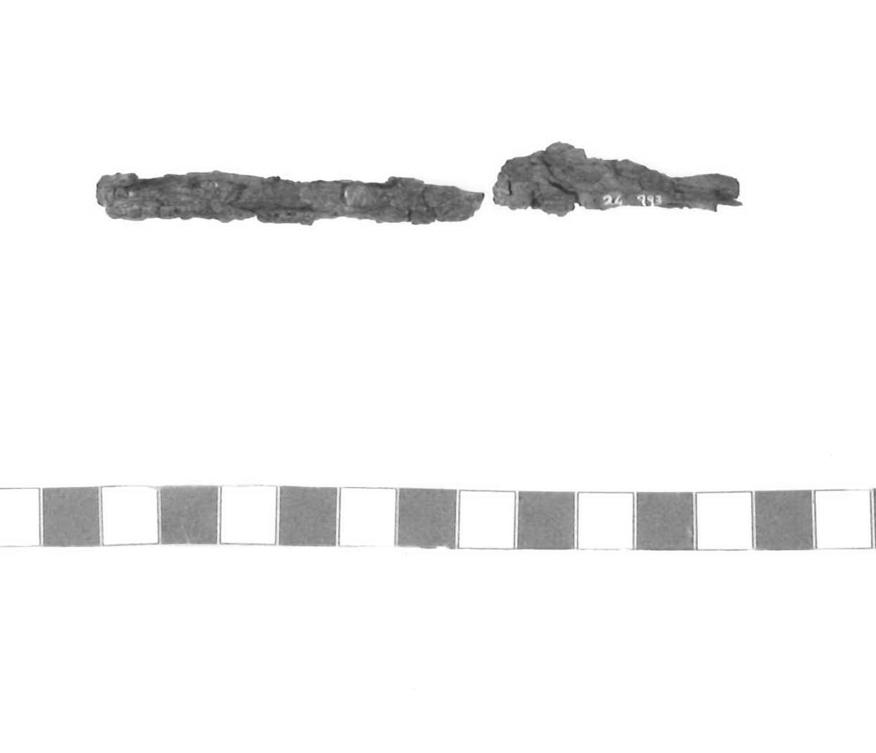 spiedo - Piceno V (fine sec. V a.C)