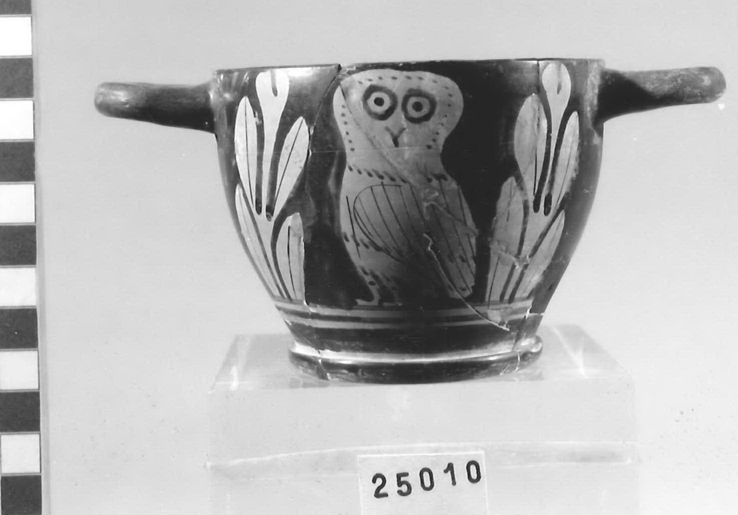 skyphos - Piceno V (fine sec. V a.C)