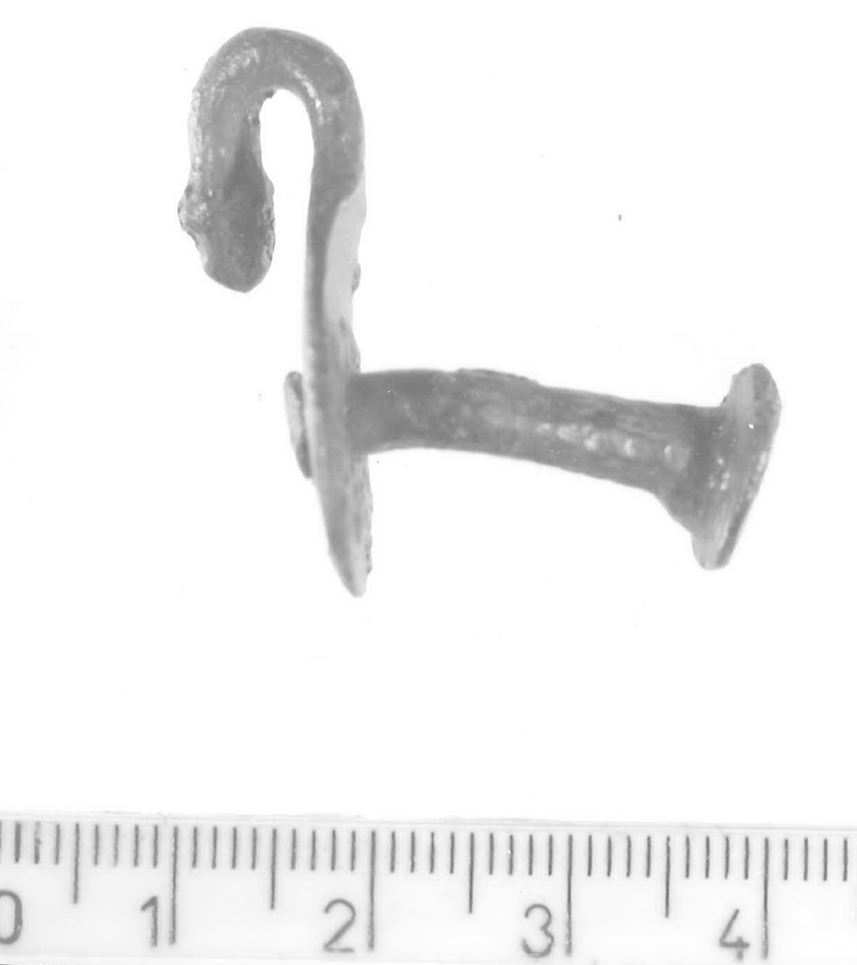 gancio - Piceno V (fine sec. V a.C)