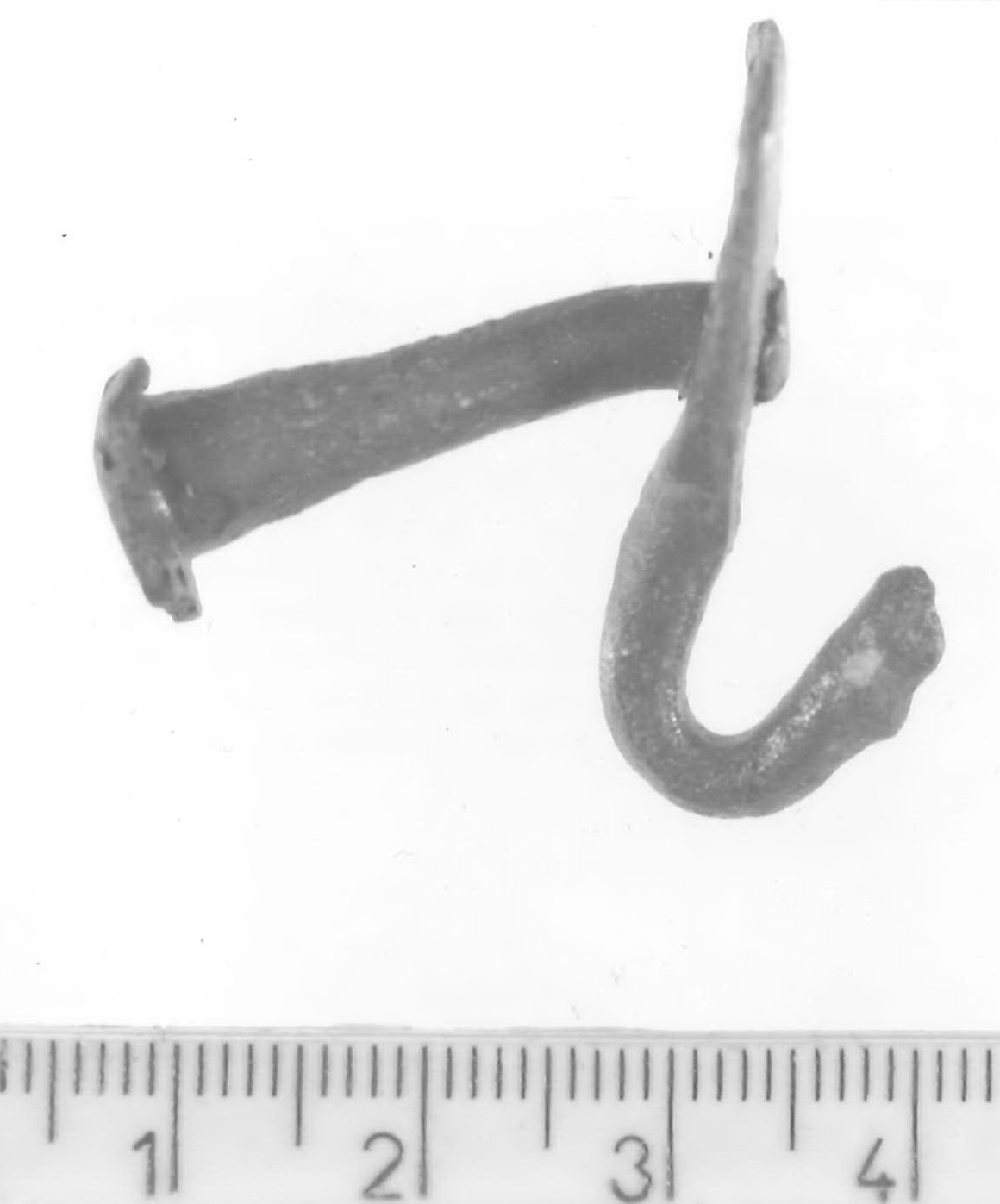 gancio - Piceno V (fine sec. V a.C)