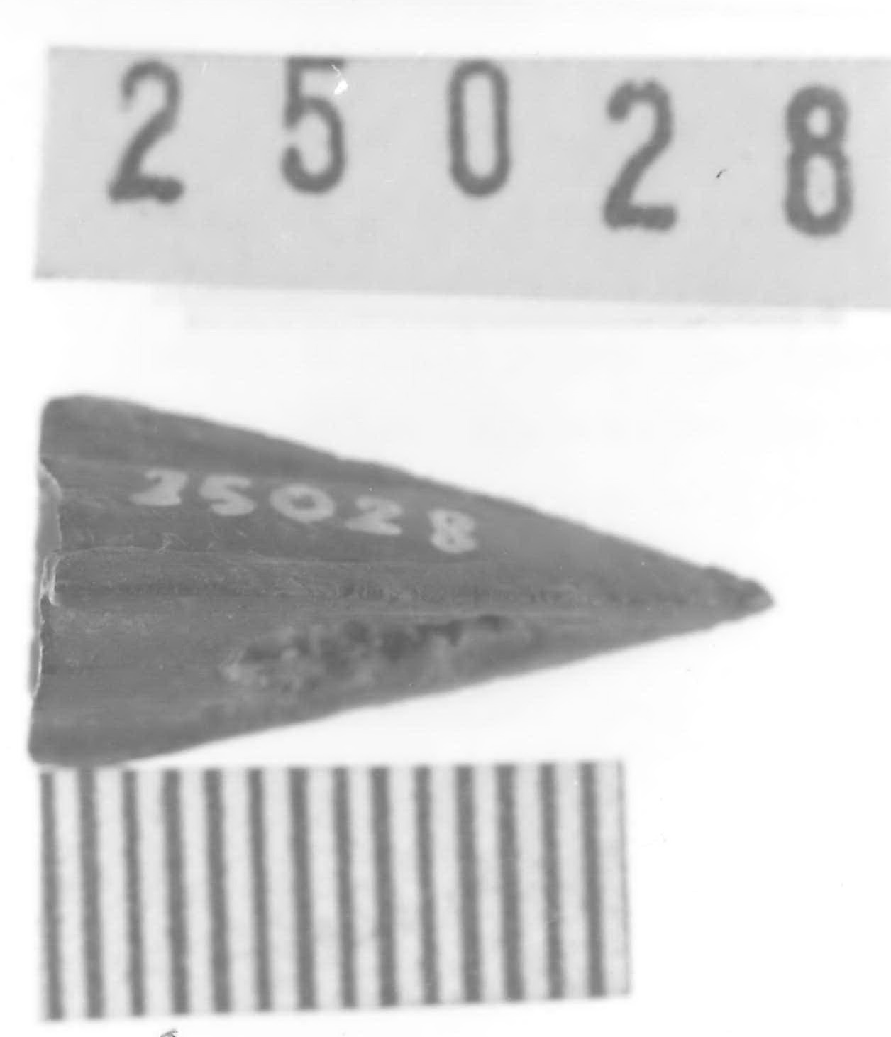 punta di freccia - Piceno V (fine sec. V a.C)