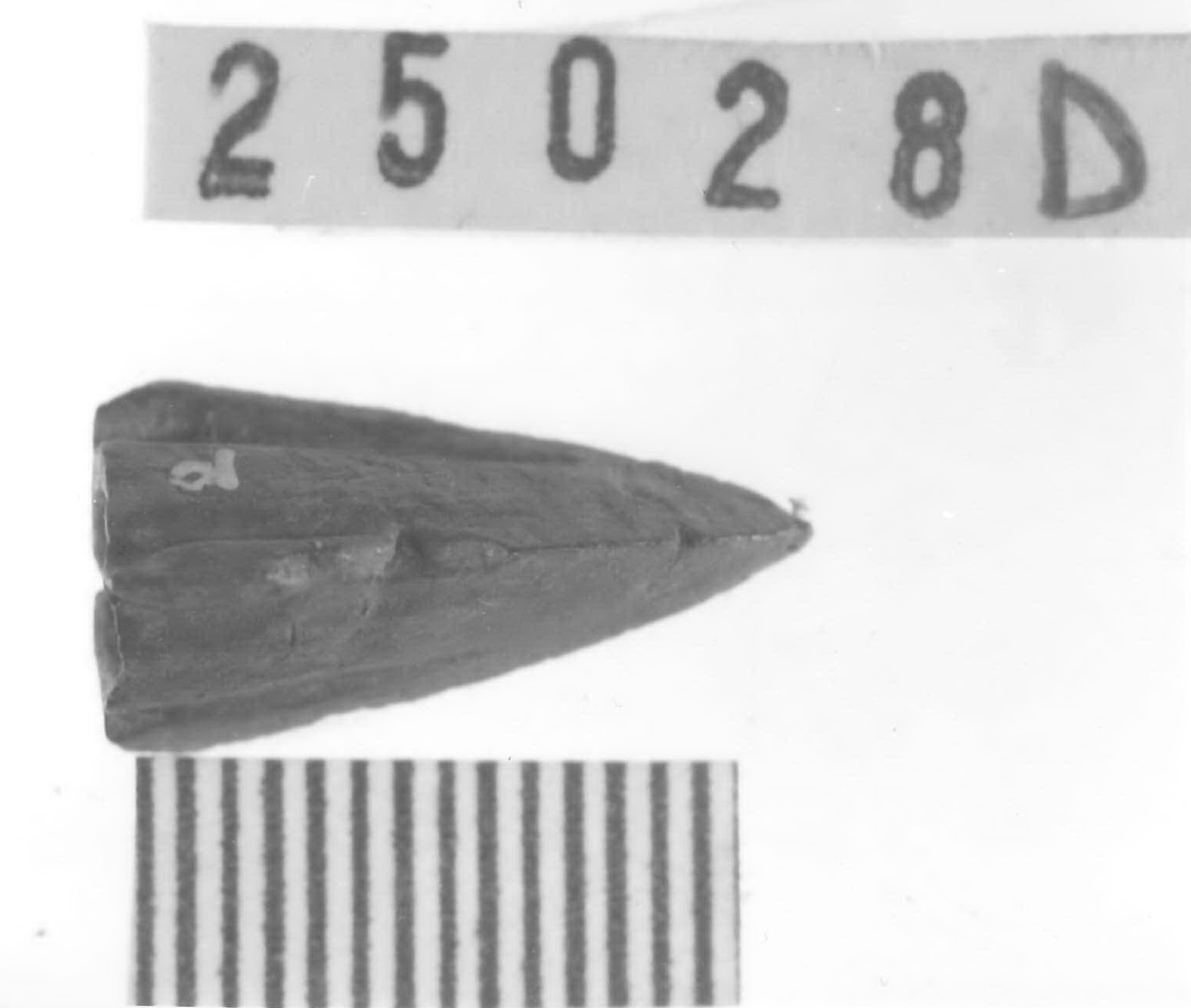 punta di freccia - Piceno V (fine sec. V a.C)